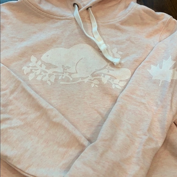 Roots Cropped Sweatshirt - Picture 3 of 9